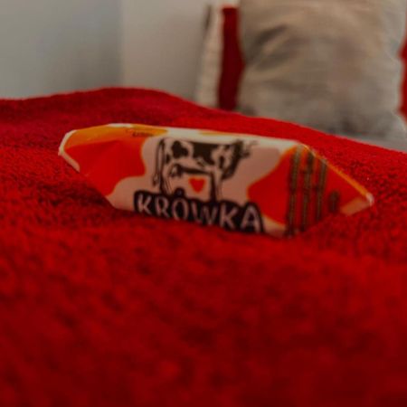 Amazing 1 Room Condo Warszawa Center, Sauna Екстер'єр фото